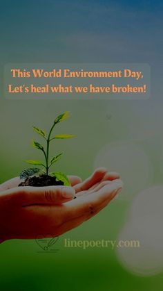 World Environment Day Slogans & Quotes, world environment day - linepoetry.com