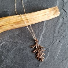 This evergreen sprig was cast using a mold of a twig from a natural cedar tree. Bronze sprig hangs from an 18"L 14K gold-fill chain with spring ring clasp. Sterling silver sprig hangs from an 18"L sterling silver chain with spring ring clasp. Each piece is made by hand by pressing metal clay into the mold, hand cutting, drying and sanding. The piece is then kiln fired and finished to this beautiful and unique piece of solid metal jewelry. As with any handmade item, variations are to be expected Look Board, Cedar Tree, Pressed Metal, Nature Inspired Jewelry, Project Inspiration, Flora Fauna, Metal Clay, Inspired Jewelry, Metal Pendant