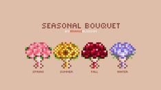 four different types of flowers with the words seasonal bouquet in each flower, on a beige background