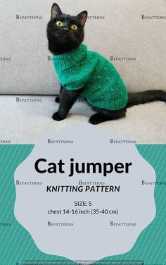 a black cat wearing a green sweater sitting on top of a couch