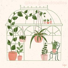 a green house with potted plants in it