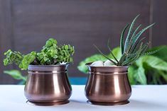 two pots with plants in them sitting on a table