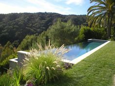 a swimming pool surrounded by lush green trees and plants on the side of a hill