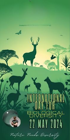 the international day for environmental conservation poster