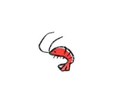 a drawing of a red lobster on a white background