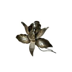 Mexico Flower Brooch Sterling Silver Lily Orchid Statement Pin Vintage Signed | eBay Silver Flower Brooch With Floral Decoration, Silver Flower Brooch With Flower Decoration, Silver Flower Shaped Brooch With Floral Decoration, Silver Flower Brooches With Flower Decoration, Silver Flower Brooch With Handmade Flowers, Handmade Flower Silver Brooches, Handmade Flower Shaped Silver Brooches, Handmade Silver Flower Brooches, Ebay Hacks