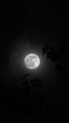 the full moon is shining brightly in the dark sky