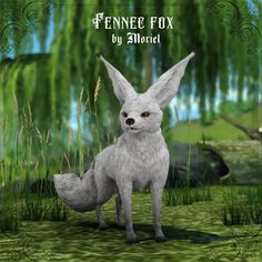 a white fox standing in the grass with trees in the back ground and text fenne fox by aloret