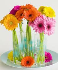 colorful flowers are in vases on a plate