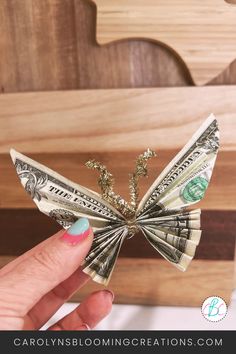 a person holding money in their hand with the words how to make money origami butterflies