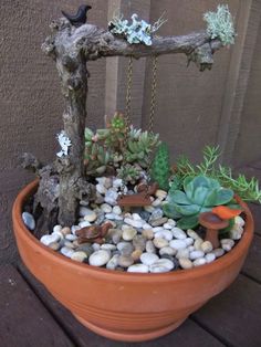 a potted plant with rocks and succulents in it