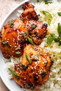 chicken and rice on a plate with garnishes