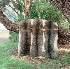 UNTAMED New Zealand Wild Fur Throws are manufactured using the main panel from top quality possum skins. These are carefully constructed by highly skilled furriers and lined with suede polyester (non slip & light weight). Size: 80 x 60cm Disclaimer: This possum fur comes in two natural colors: gray and dark brown. We cannot guarantee which color you will receive, as products are selected at random for online orders. Fur Throw, Natural Colors, Dark Brown, New Zealand, Blankets, Electronic Accessories, Wool, Purses And Bags, Music Clothes