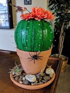 a green cactus with orange flowers sitting on top of rocks