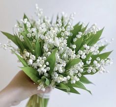 a hand holding a bouquet of white flowers