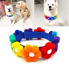 two dogs wearing colorful collars with pom poms on them and one dog sitting in the background