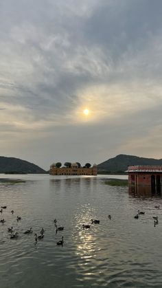 ducks are swimming in the water near a dock with a building and mountains in the background