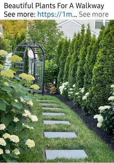 an image of a garden with stepping stones in the grass and flowers on the side