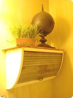 a potted plant sitting on top of a wooden shelf next to a wall light