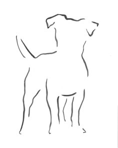 a black and white drawing of a dog