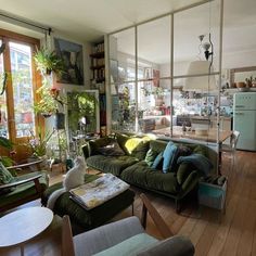 a living room filled with furniture and lots of plants on the wall next to windows