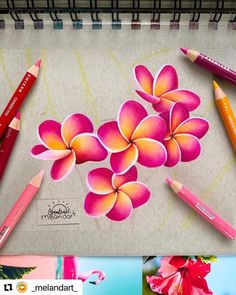 some pencils are laying on a table with pictures and flowers painted on it,