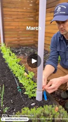 a man kneeling down in front of a garden with plants growing out of the ground