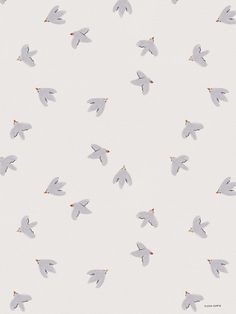 a flock of birds flying in the sky