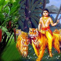 lord ayappa with tigers in the jungle