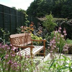 a wooden bench sitting in the middle of a garden filled with lots of purple flowers