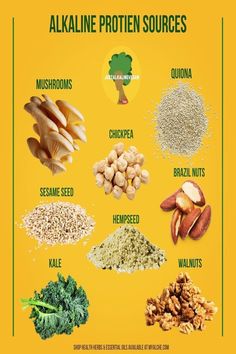 High Protein Alkaline Recipes, Alkaline Grocery List, Alkaline Dinner, Alkaline Foods Chart