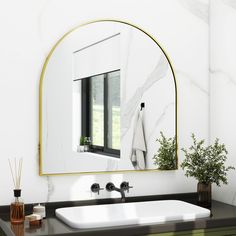 a bathroom sink under a large mirror next to a vase with a plant in it