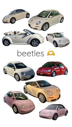 a bunch of different colored cars with the words beetle's on them