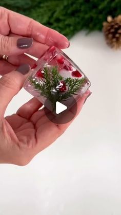 a person holding a small christmas decoration in their hand with pine cones on the side