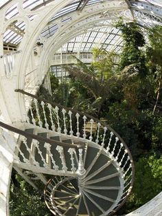 an aerial view of a spiral staircase in a greenhouse