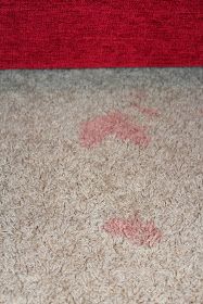 a cat is laying on the floor with its paw prints in it's carpet