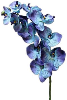 Simple Look, Phalaenopsis Orchid, Inspired By Nature, Fake Flowers, Tropical Paradise, Tropical Flowers, Silk Flowers, Artificial Flowers, Orchids