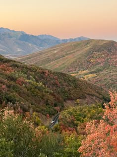 a train traveling through a lush green hillside covered in fall foliage and trees with mountains in the background