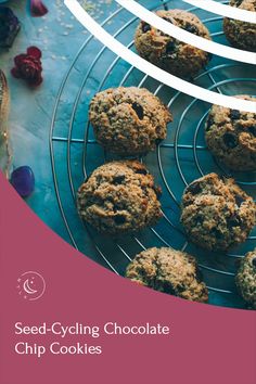 seed - cycling chocolate chip cookies on a cooling rack with flowers in the back ground