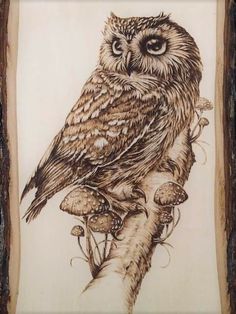 an owl sitting on top of a tree branch with mushrooms in the foreground and behind it is a wooden frame