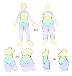 an image of a person with different body shapes