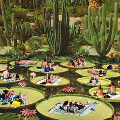 many people are floating on lily pads in the water surrounded by cacti and succulents