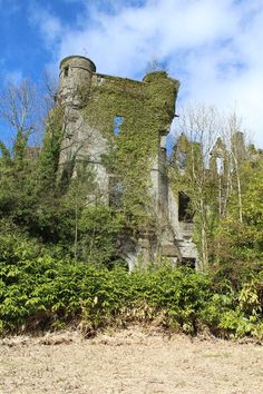 an old abandoned building surrounded by trees and bushes