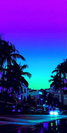 the sky is purple and blue with palm trees