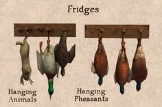 three different types of birds hanging from hooks on a wooden rail with the words tridges hung above them