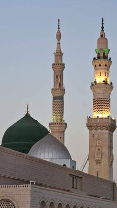 two tall white buildings with green domes