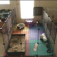 a caged in area with various animals inside