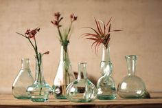 there are many vases with plants in them on the table, and one is empty