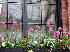 a window box filled with flowers next to a brick building