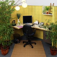 an office cubicle with plants and a computer on the desk in front of it